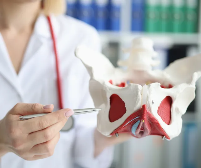 Pelvic Floor Rehabilitation